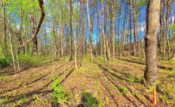 Walkertown, NC 27051,5091 Donna Marie CT