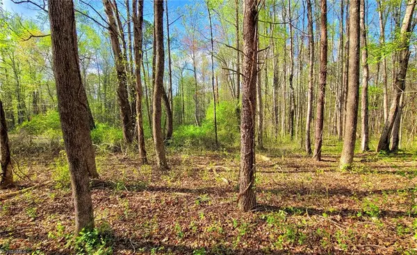 Walkertown, NC 27051,5091 Donna Marie CT