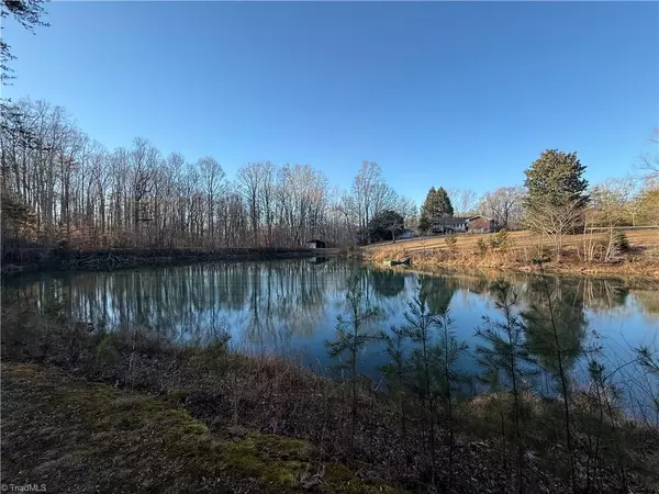 Pfafftown, NC 27040,1980 Turkey LN