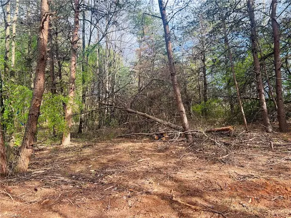 Hamptonville, NC 27020,Lot 1 Hunting Creek Church RD