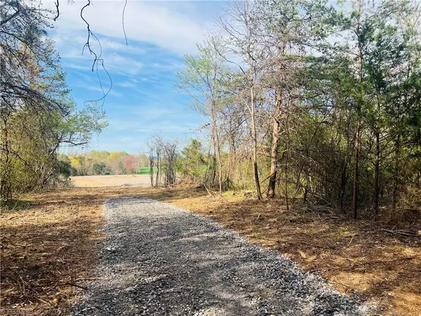 Hamptonville, NC 27020,Lot 1 Hunting Creek Church RD