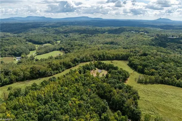 Mount Airy, NC 27030,335 Alley Cat LN