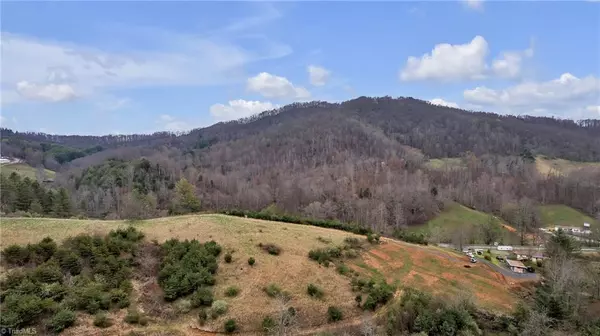 Grassy Creek, NC 28631,TBD NC Highway 16 N