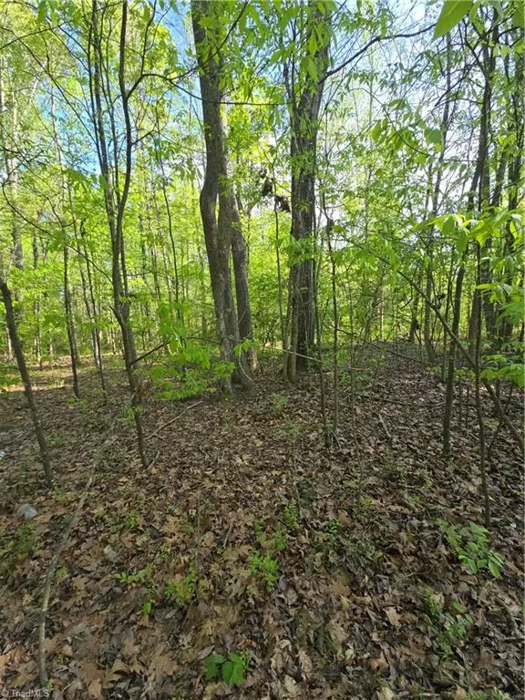 Denton, NC 27239,219 Dot ST