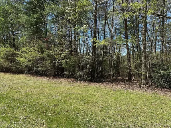 Thurmond, NC 28683,2 Sylvan RD