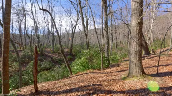 Walnut Cove, NC 27052,00 Wolf Rock RD