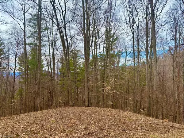 Bakersville, NC 28705,00 Apple Farm RD