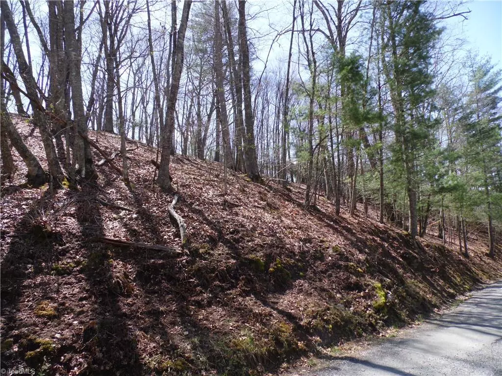 Piney Creek, NC 28663,#31 & #32 Happy Ridge RD