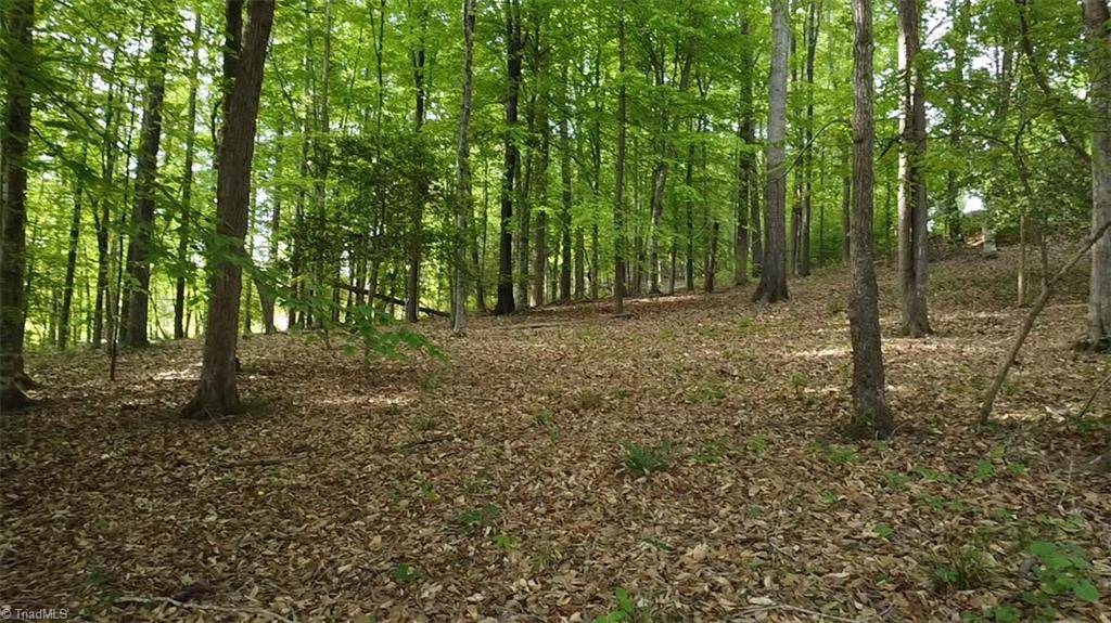 Asheboro, NC 27205,Lot 12 Johns Ridge DR