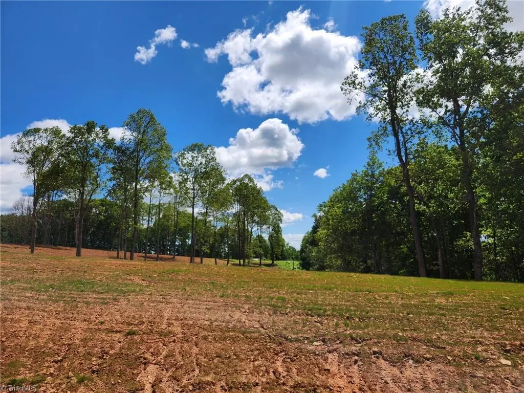 Mount Airy, NC 27030,TBD Cox RD