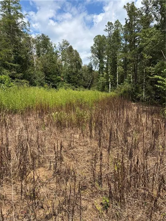 Rural Hall, NC 27045,6400 Haven Forest LN