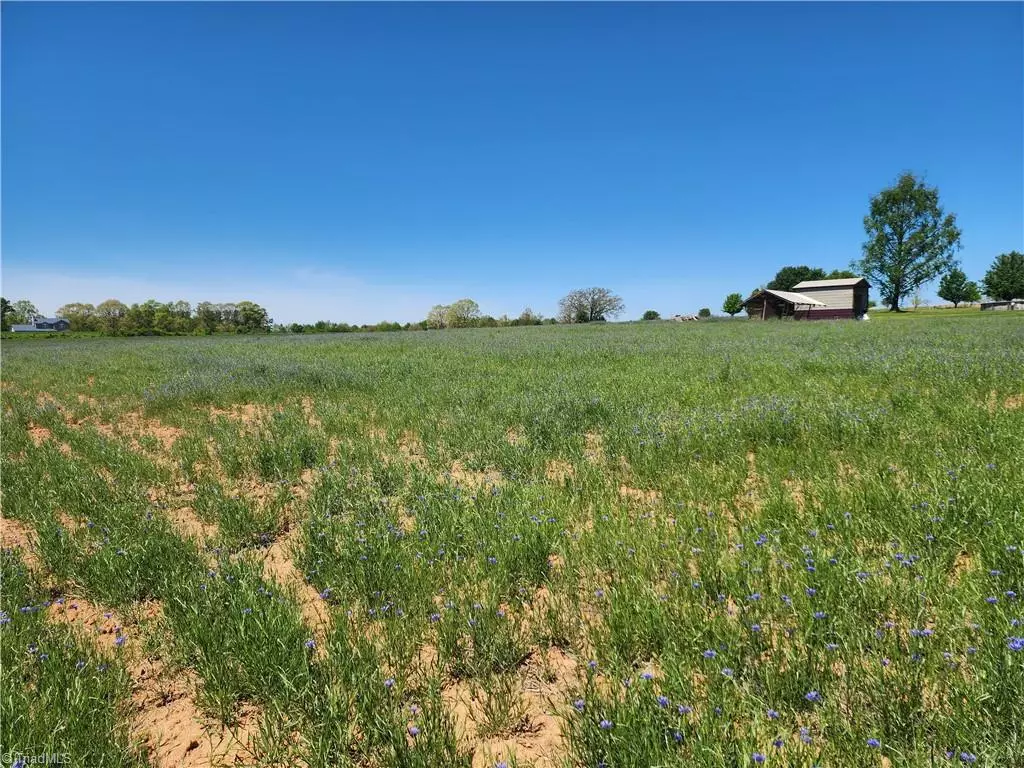 Hamptonville, NC 27020,0 Mountain View Church RD