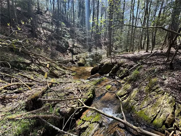 Roaring River, NC 28669,00 Ruritan RD