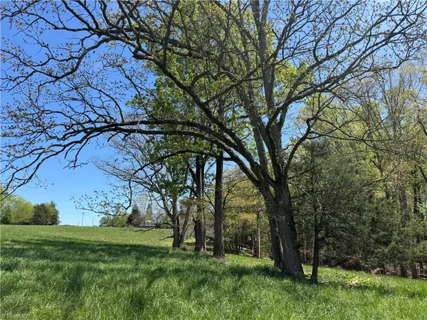 Roaring River, NC 28669,00 Ruritan RD