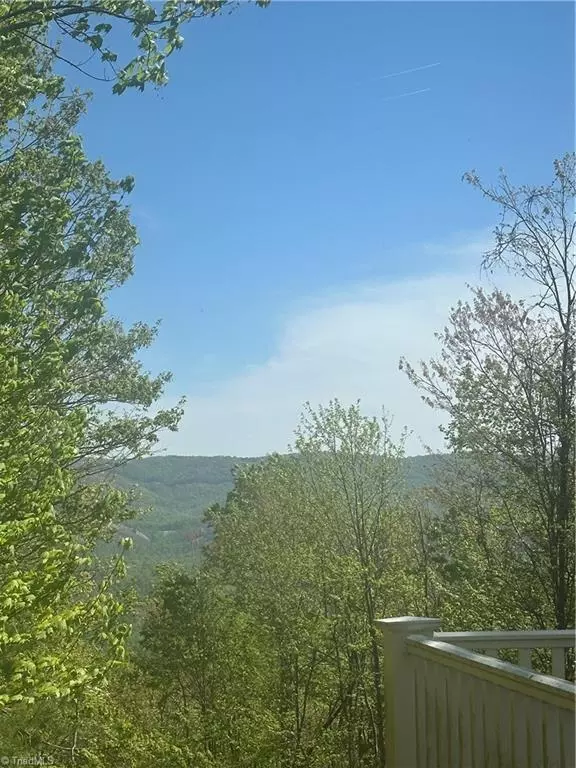 Traphill, NC 28685,272 Grandview CIR