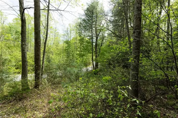 Purlear, NC 28665,00 Burberry DR