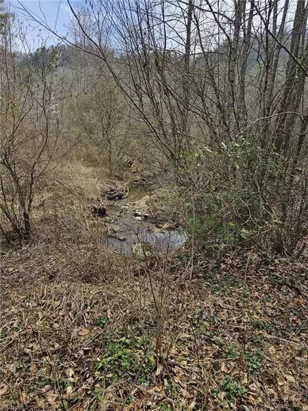 00 Elk Creek Darby RD, Ferguson, NC 28624