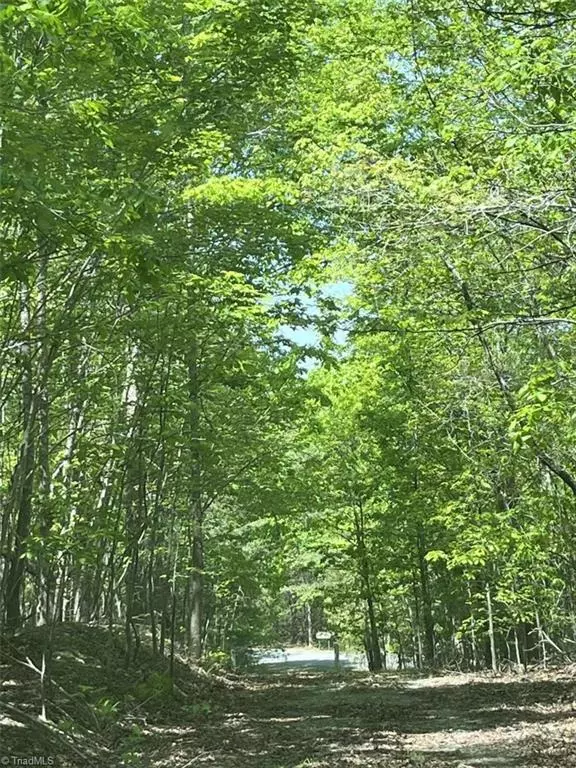 Mebane, NC 27302,420 Buckhorn Ridge RD