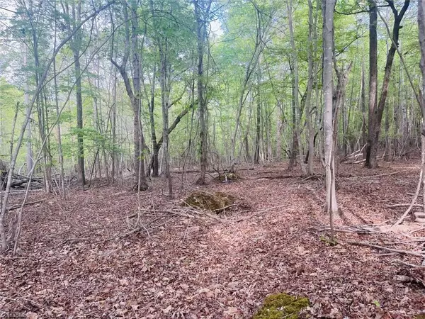 Mebane, NC 27302,420 Buckhorn Ridge RD