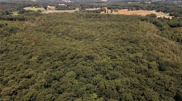 Mount Airy, NC 27030,xx 44.93 Acres Stardust TRL