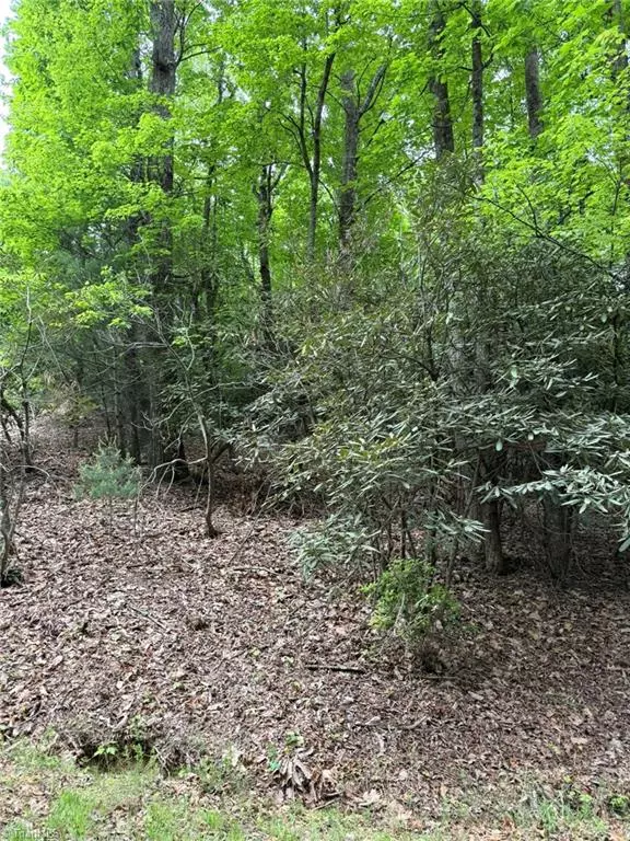 Lowgap, NC 27024,Lot 35 Baldwin DR