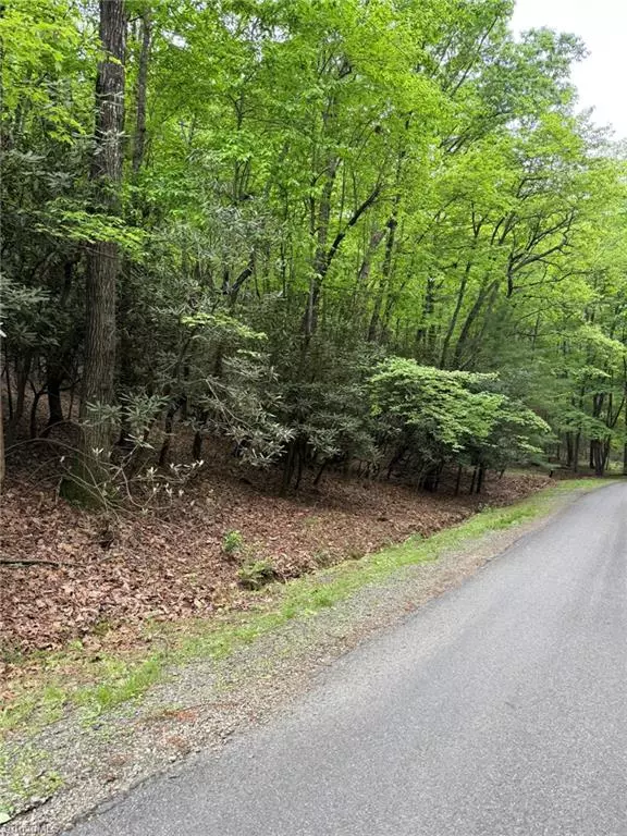 Lowgap, NC 27024,Lot 35 Baldwin DR