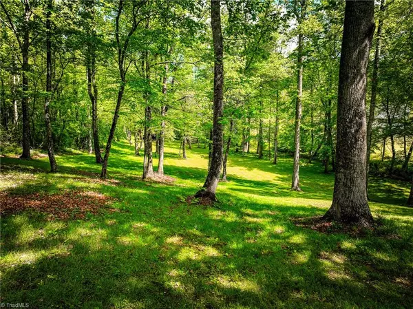 Pilot Mountain, NC 27041,211 Service RD