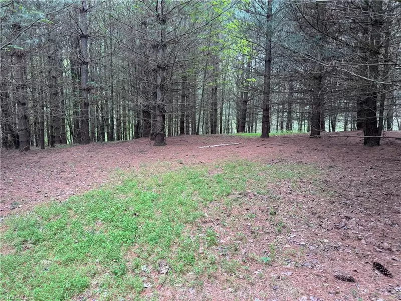 x Green Meadow LN #5 Ac S, Ararat, NC 27007