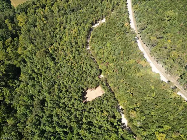 Reidsville, NC 27320,64.88 Ac Purcell RD