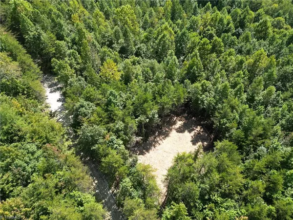Reidsville, NC 27320,64.88 Ac Purcell RD