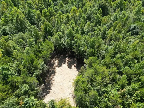 Reidsville, NC 27320,64.88 Ac Purcell RD