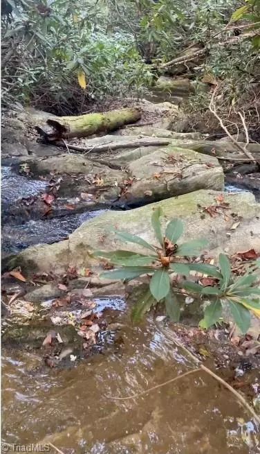 Westfield, NC 27053,7.99 Mickey RD