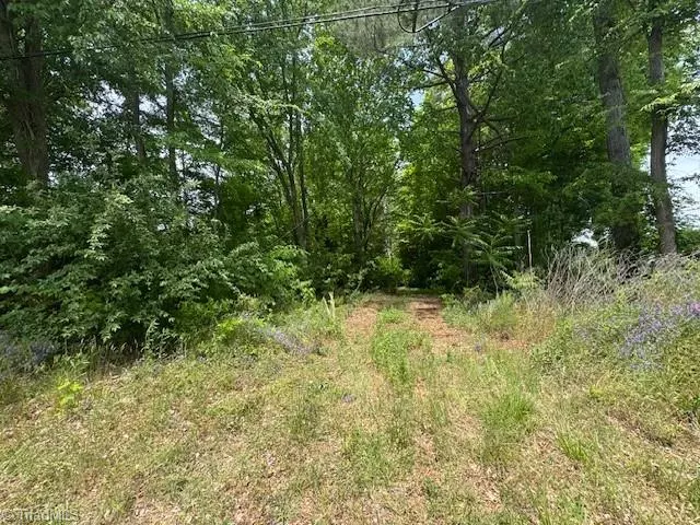 Franklinville, NC 27248,0 Depot ST