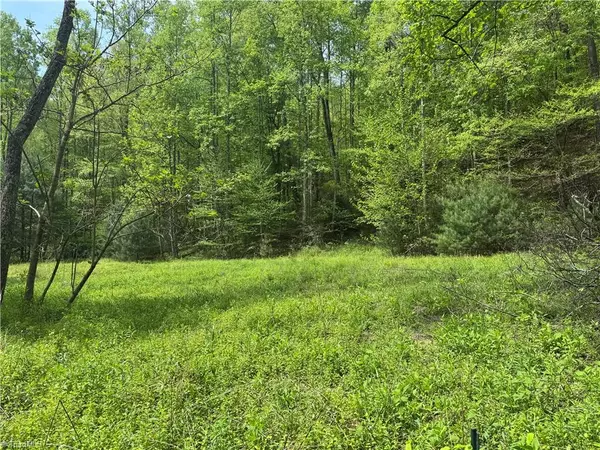 Deep Gap, NC 28618,TBD Wildcat RD