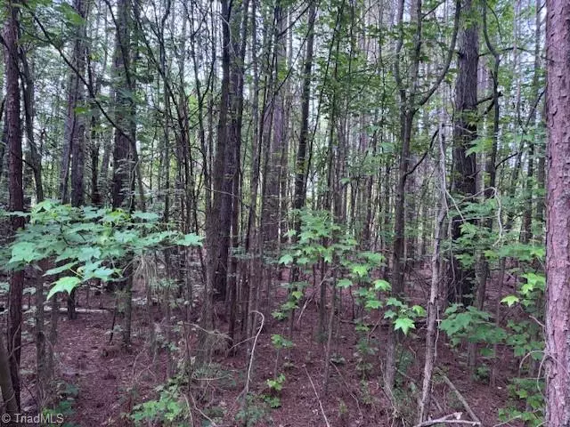 Browns Summit, NC 27214,7705 Jackson School RD