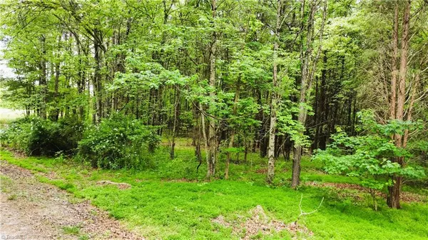 Stoneville, NC 27048,0 Eden RD