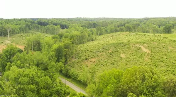 Trinity, NC 27370,Lot 10 Skeens Mill RD