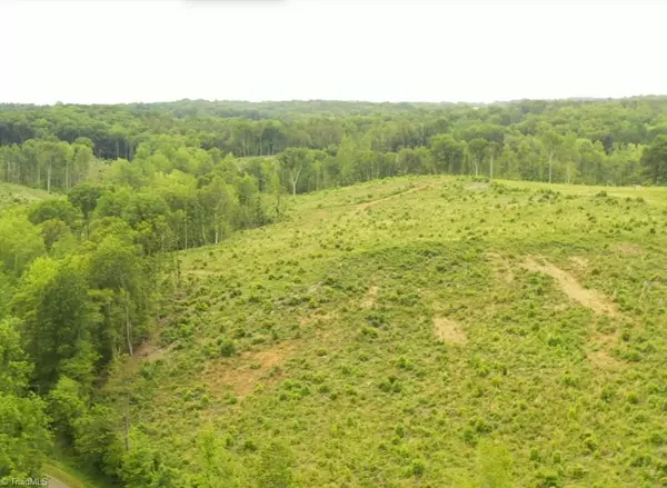 Trinity, NC 27370,Lot 10 Skeens Mill RD