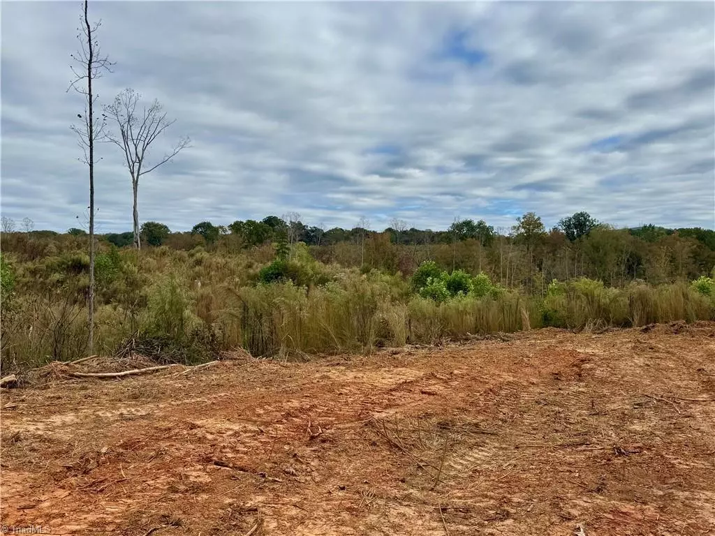 Trinity, NC 27370,Lot 12 Skeens Mill RD