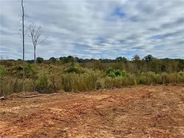 Lot 12 Skeens Mill RD, Trinity, NC 27370