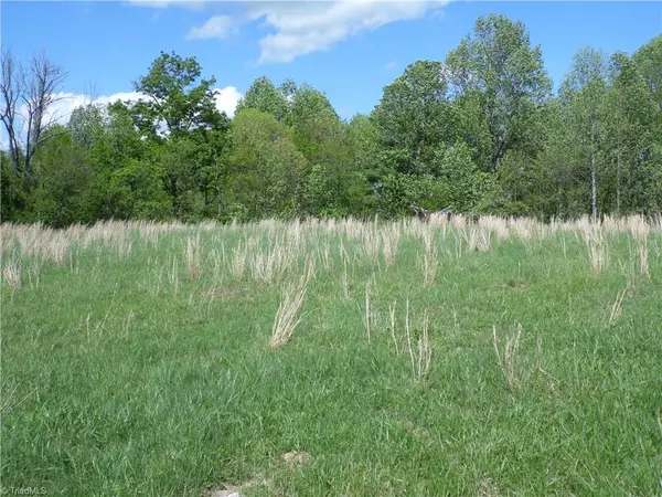 Sparta, NC 28675,TBD Toms Knob RD
