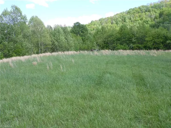 Sparta, NC 28675,TBD Toms Knob RD