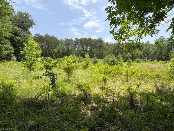 Summerfield, NC 27358,357 Pearman RD