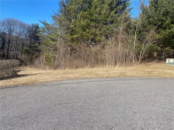 Sparta, NC 28675,TBD Holly Hill DR