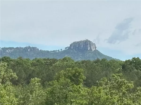 00 Caudle RD, Pinnacle, NC 27043