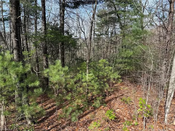 Purlear, NC 28665,Lot 213 Casey Mountain RD