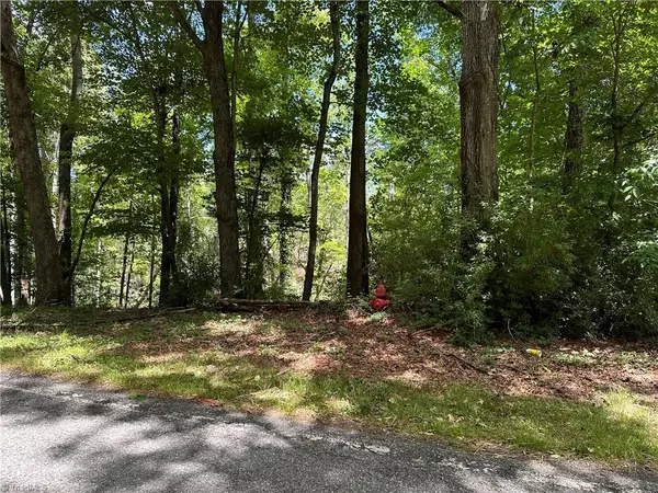 Wilkesboro, NC 28697,TBD S Recreation RD