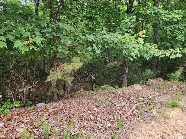 Mcgrady, NC 28649,TBD Derby Chase CT