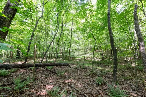 Whitsett, NC 27377,6910 Long Meadow LN