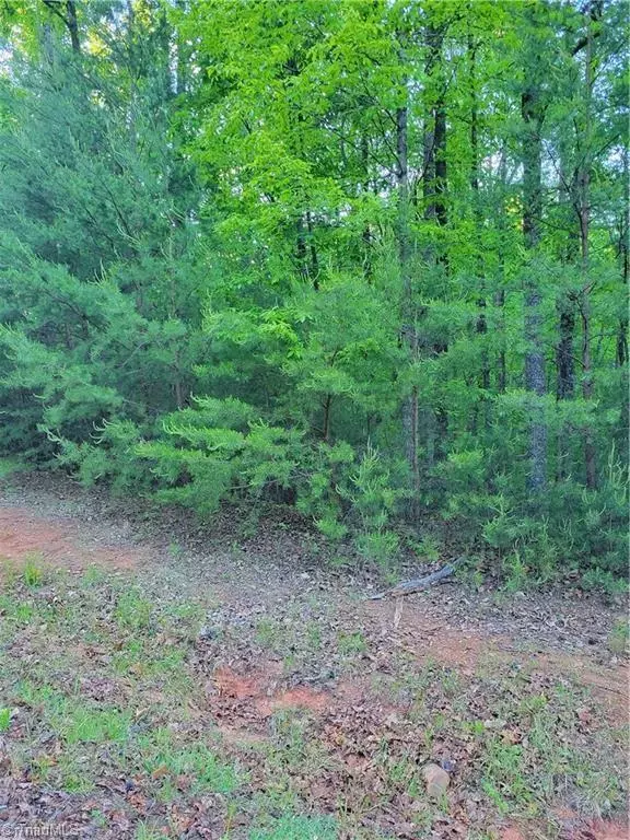 Mcgrady, NC 28649,Lot 81 Sutters Ridge RD